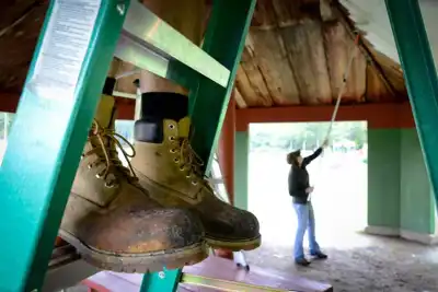 Two-thirds jump in recycled PET for Timberland in 2013