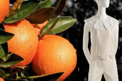Seed money takes Italian “orange” textile entrepreneurs north