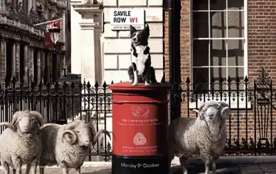 Sheep set to make their mark on Savile Row