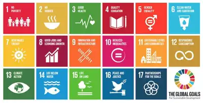 Head of sustainability at Novozymes receives UN honour