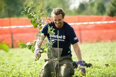 Timberland gives update on CSR initiatives