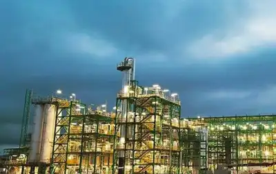 Novamont prepares to open new butanediol “mini-refinery”