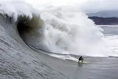 Patagonia offers licence for vest design to protect ‘iconic surf break’