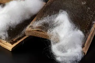 New partner will help Spinnova commercialise its wood-based yarn