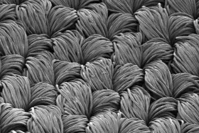 EOG initiative takes on microfibre pollution