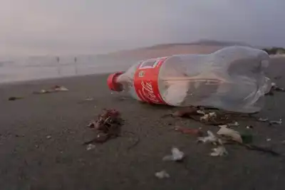 FENC and Coca-Cola team up for chemical recycling of PET