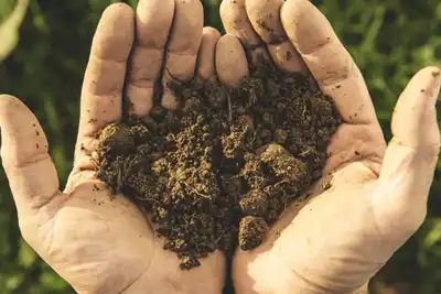 Organic standard hopes to ‘heal broken agriculture system’