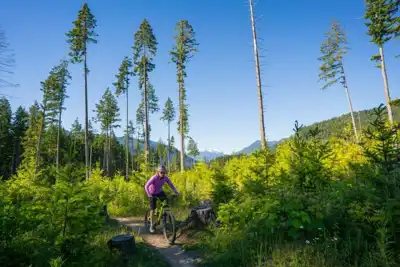 US cycle companies join climate protection scheme