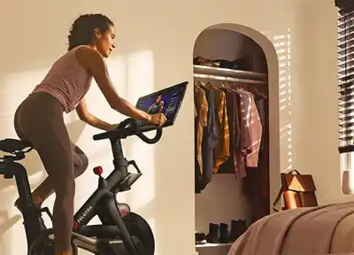 The great indoors