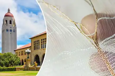 Smart Textiles and Stanford partner on covid-detecting knit