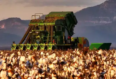 Australian cotton industry statement on exports to China