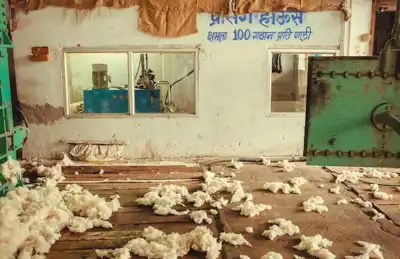 Wool knitted fabrics specialist adds cotton to its range