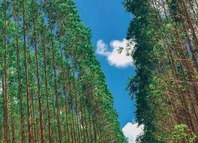 Sateri targets 100% recycled viscose by 2030