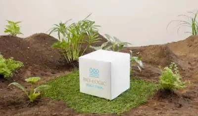 Duo of plant-based water repellents hailed as ‘leap’ for Rudolf