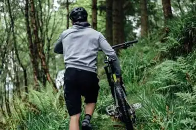 Endura’s tree planting success enables CO2 pledge