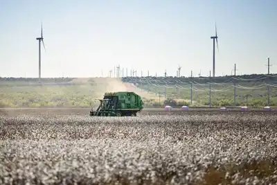 Cotton farmers aim to reap wider benefits