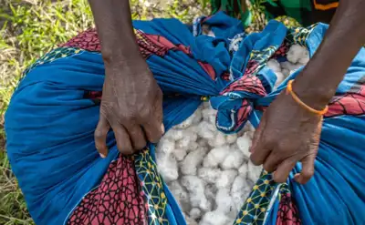 Jump in demand for Cotton made in Africa