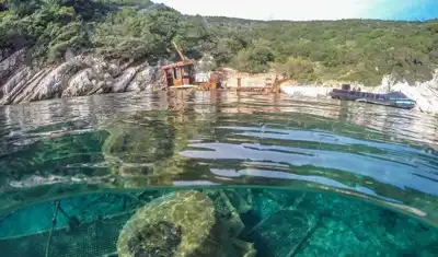Healthy Seas embarks on biggest clean up
