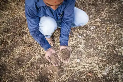 BCI supports sustainable soil projects