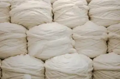 Icebreaker now 91% plant- or merino-based