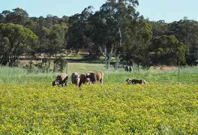 AWI funds regenerative farming project