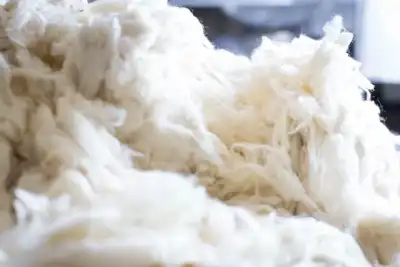 Chinese wool conference held in Inner Mongolia
