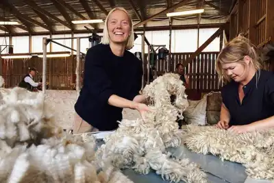 Funding for initiative to end Swedish wool waste