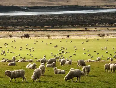 Icebreaker and Spinnova to develop circular merino products