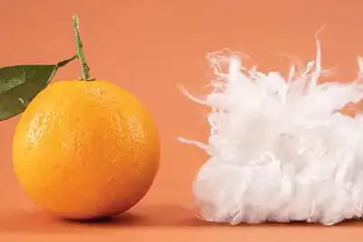 Fruit and fibre