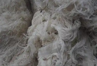 Säntis: 'step change' in recycled fibre demand