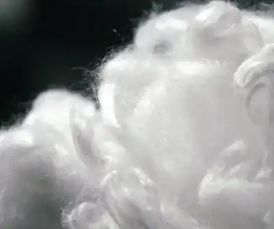 Finnish start-up spins plant-based fibre
