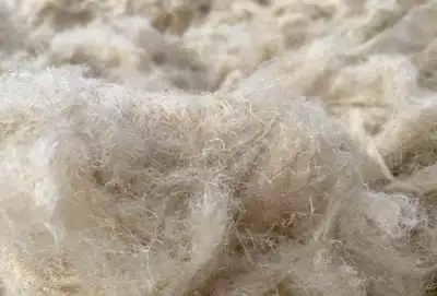 Major names to trial agro-waste fibres