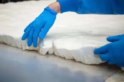 Partners to test mycelium foam for fashion