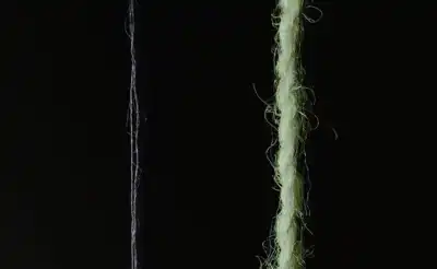 Carpet wool-to-clothing breakthrough for TMC
