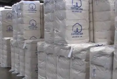 Cotton Day Korea draws to a close