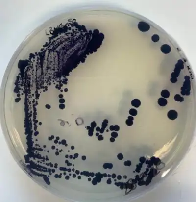 Bio dye technology receives £18 million boost