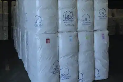 US non-profit hosts 'cotton day' in China