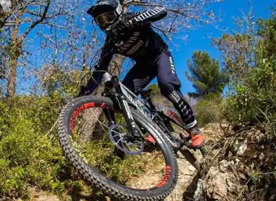 Basketball star invests in bike company