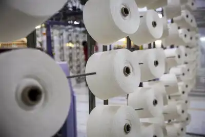 Unsubstantiated ‘green’ claims cost two apparel groups almost €1 million