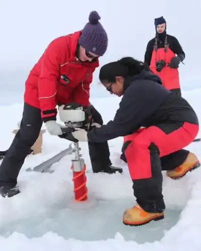 Polyester pollution reaches Antarctic seas