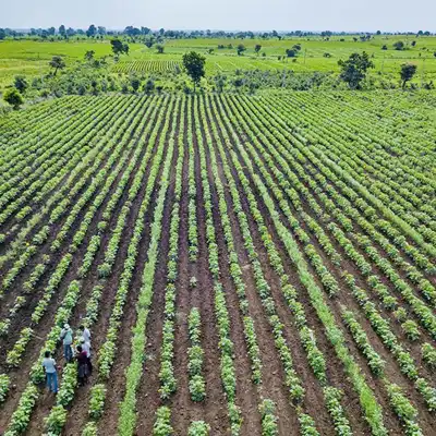 OCA seeks proposals for expansion into Turkey