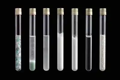 Carbios-led PET recycling consortium grows