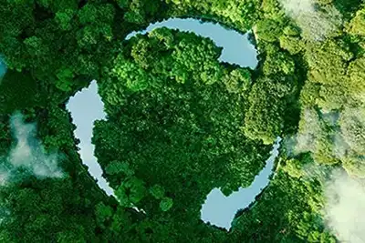 How Brands Deliver More with Less