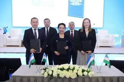 Roadmap for cotton industry in Uzbekistan