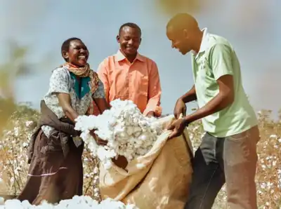 In-demand Cotton made in Africa can make globalisation 'fairer' - Otto