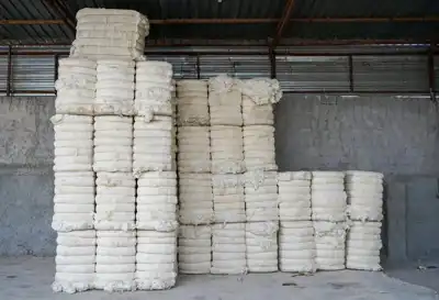 Better Cotton aims for ‘seismic shift’ with traceability solution