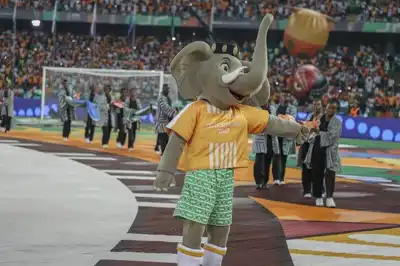 African sports brands feature at Cup of Nations