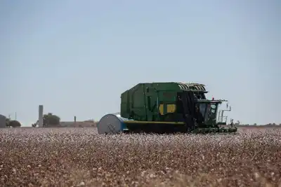 Farms, mills, brands and industry bodies implicated in cotton report