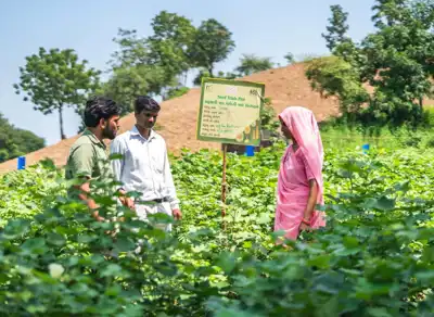 OCA: brands must invest in in-conversion cotton