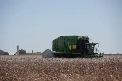 Independent audit says Brazil farms did not breach Better Cotton standard